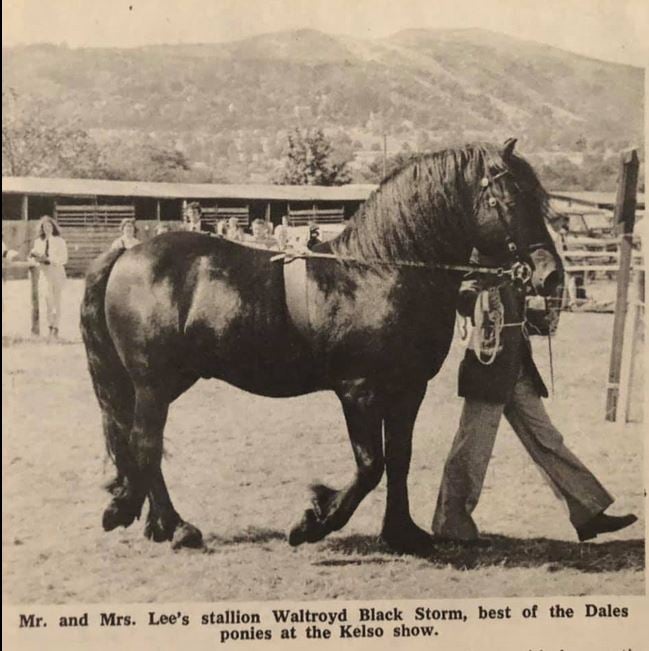 Ponies of Britain Scottish Show 1977